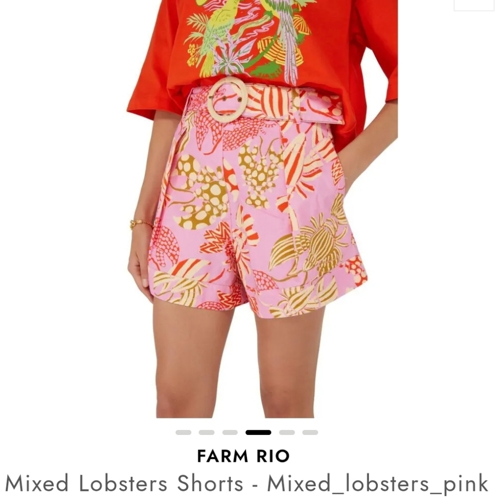 FARM Rio High Waist Shorts - Multicolor Pattern - Picture 6 of 6